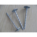 Clavos galvanizados para techos / clavos para techos / fabricantes de clavos para techos corrugados en